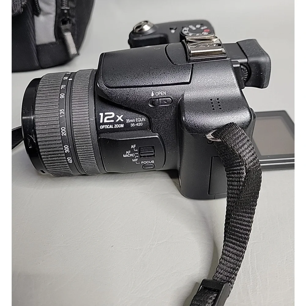 Panasonic Lumix DMC F250 Case Extras